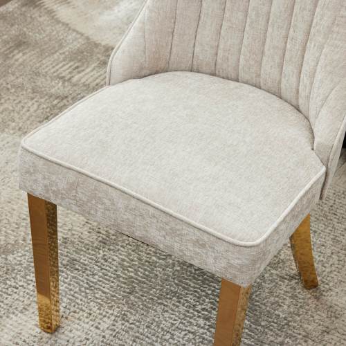 Beige Rayon Chenille Dining Chairs 2-Pcs Set (DE1647BG)