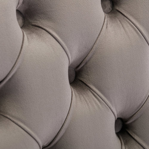 A&A Nikki Collection 2-Pcs Grey&Gold Velvet Dining Chairs (DE1601GY)