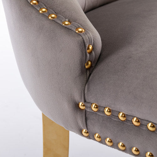 A&A Nikki Collection 2-Pcs Grey&Gold Velvet Dining Chairs (DE1601GY)