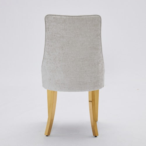 Beige Rayon Chenille Dining Chairs 2-Pcs Set (DE1647BG)
