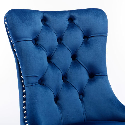 Nikki Collection 2-Pcs Blue&Chrome Velvet Dining Chairs (DE1701BL)