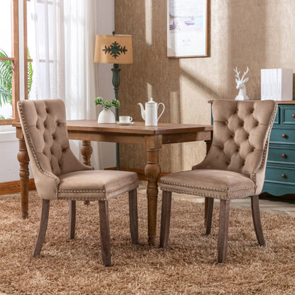 Nikki Collection 2-Pcs Blue&Chrome Velvet Dining Chairs (DE1701BL)