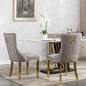 A&A Nikki Collection 2-Pcs Grey&Gold Velvet Dining Chairs (DE1601GY)