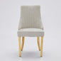 Beige Rayon Chenille Dining Chairs 2-Pcs Set (DE1647BG)